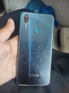 vivo