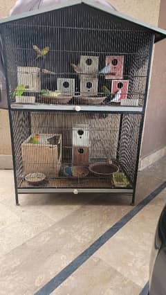 Cage with Birds