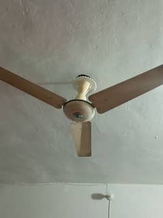 ceiling fan