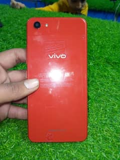 vivo