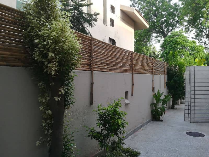 Bamboo Jafri Partition 1