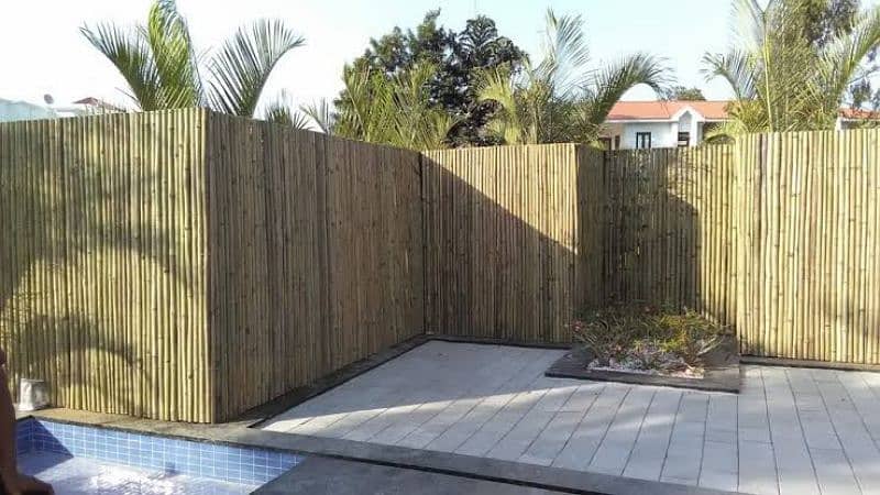 Bamboo Jafri Partition 3