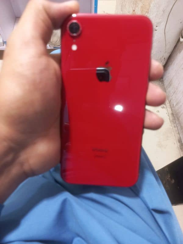 iphone XR 1