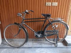 new cycle for sale phoneix sohrab