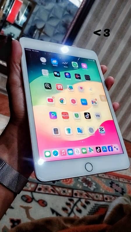 Ipad mini 5 64gb 1