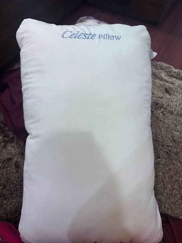 I m selling brand new master molty foam with two pillow not used 5