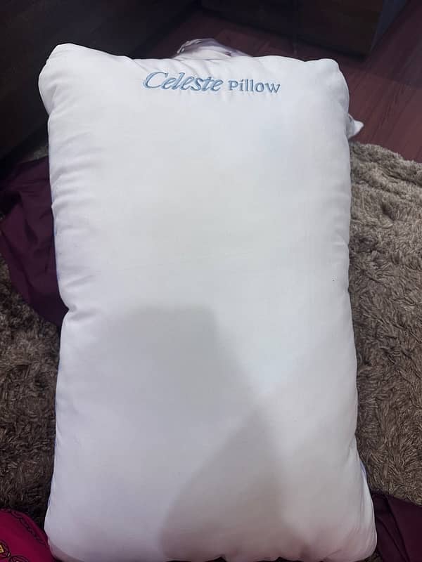 I m selling brand new master molty foam with two pillow not used 6