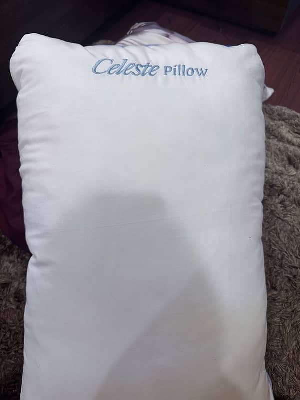 I m selling brand new master molty foam with two pillow not used 8