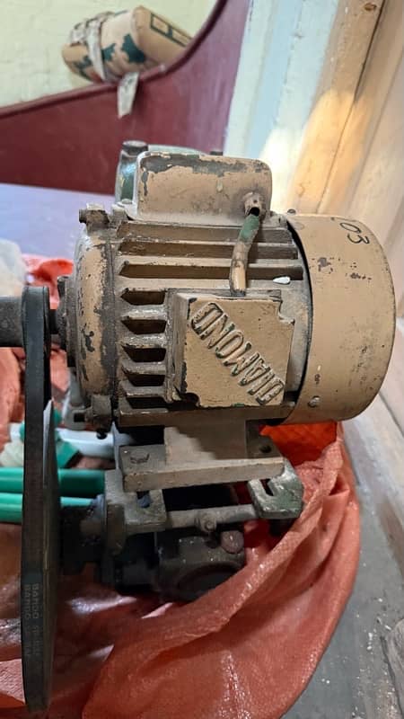 original gonlden pump with dimond moter 0