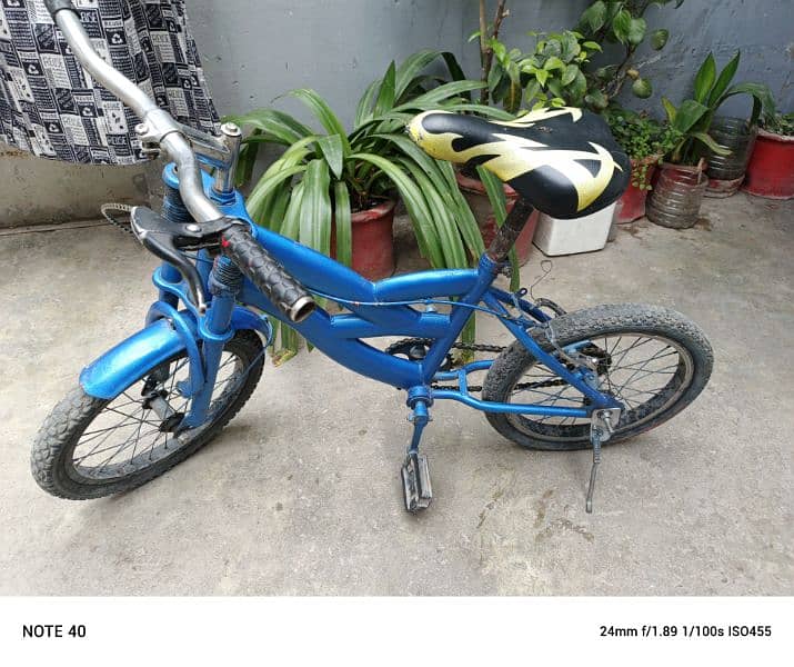 Cycle For Sale 4