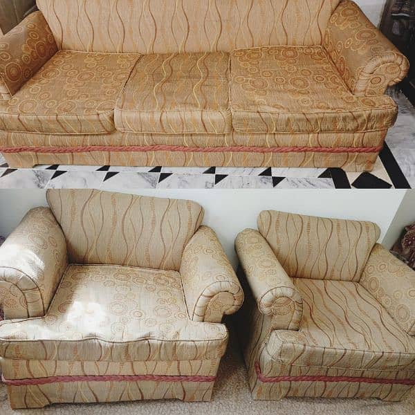 5 setaer sofa set with cushions  & Covers 0