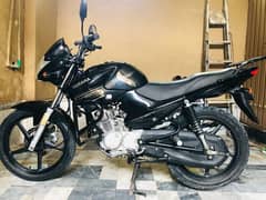 yamaha ybr 125 bike black beast 2016 japnese made import