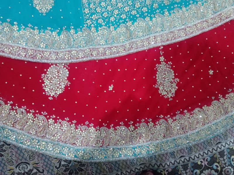 Bridel lehnga 10