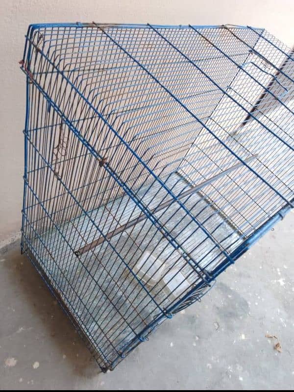 Cage for sale 2