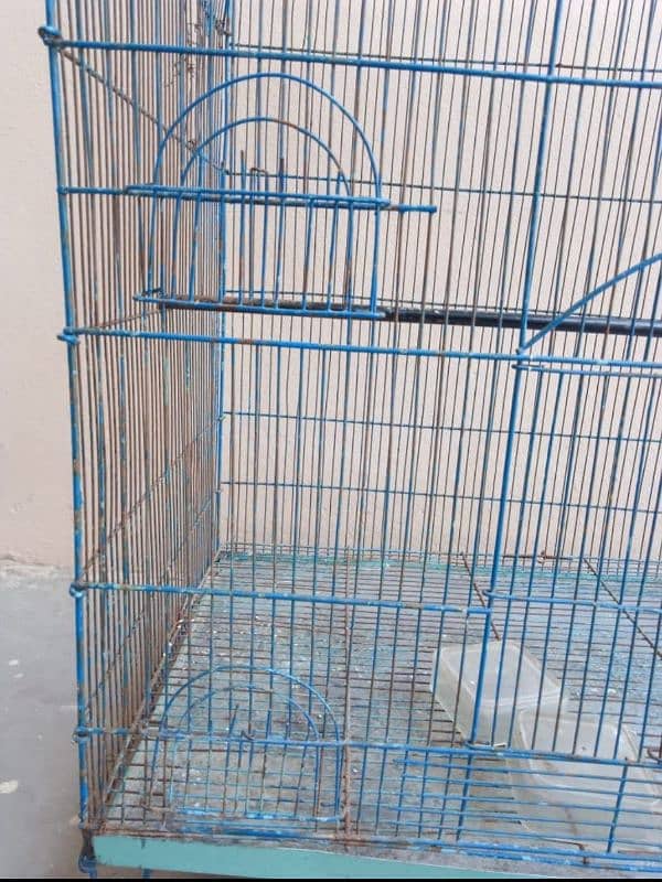 Cage for sale 3