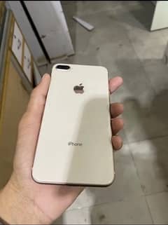 8 plus pta approved