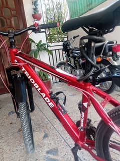 "26"inch TROIBLADE CYCLE NEW CYCLE ORIGINAL TYER NEVER CHANGE BACK