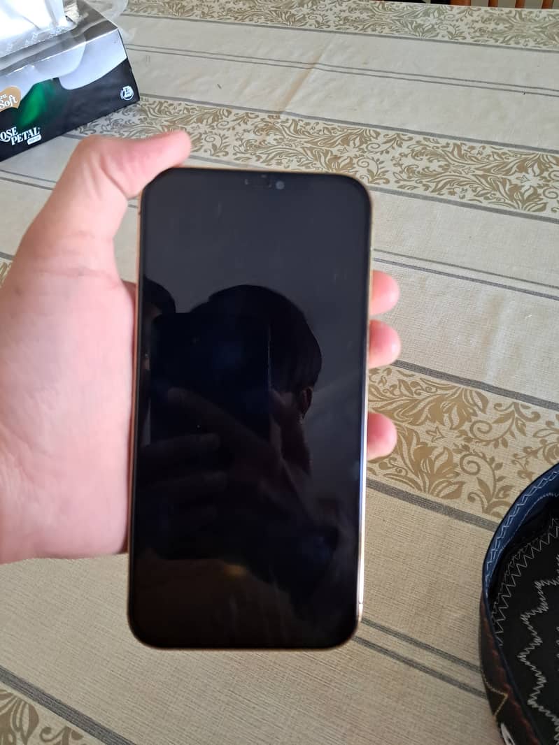12 pro max 10/10 urgent sale 1