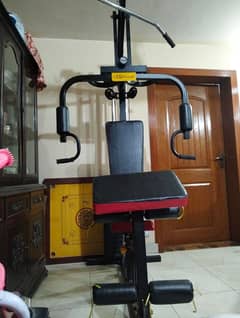 Hiome Gym Machine