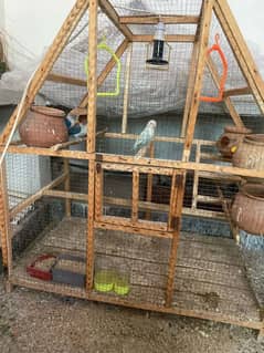 Birds Cage