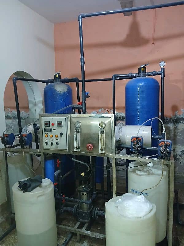 water plant for sale 10