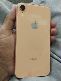 iPhone XR non pta 64gb