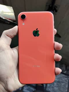 iPhone XR in Lush Condition