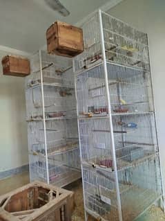 cages for sale