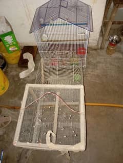 only Cage for sale