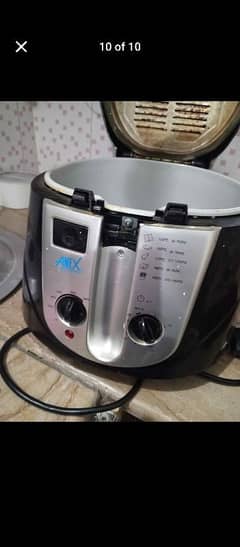 anex deep fryer