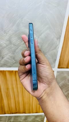 iphone 12 pro duel pta aproved