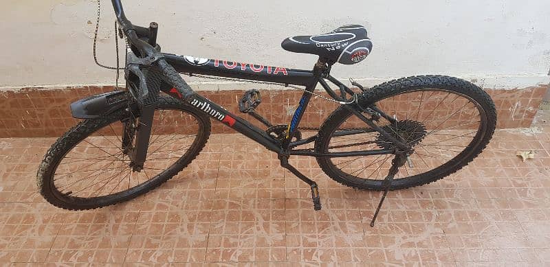 Cycle Adult Max size 3