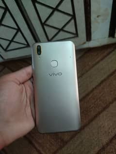 vivo