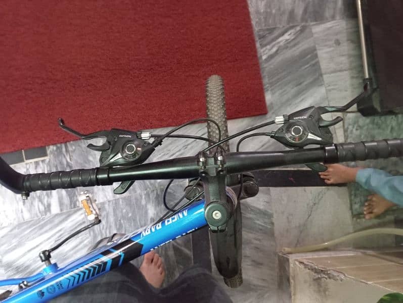 imported Chinese bicycle with helmet 3