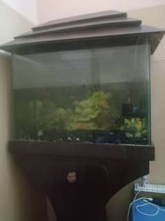 fish tank