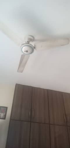 Roof Fan