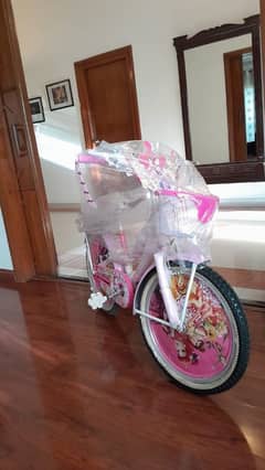 Girls Bicycle