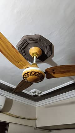 Beautiful Royal Fan with 4 years company warranty