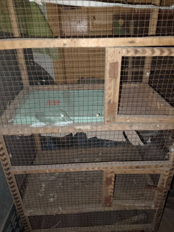 4 Story Cage in Cheap price 2