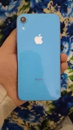 iPhone xr body