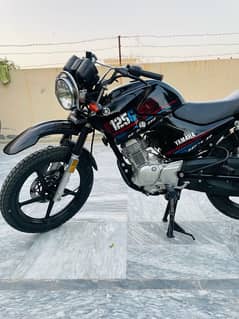 ybr 125g 2022 brand new