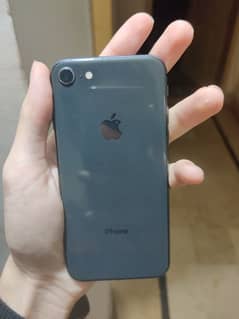 iphone 8 non pta 256