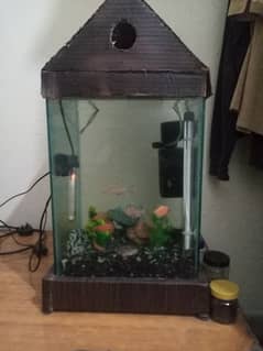 aquarium for sale along with fish equipment