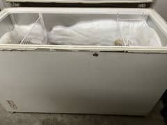 Jumbo Size Deep Freezer for sale