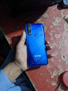 vivo