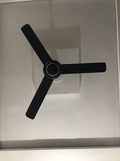 fan made in uae like a new 2 month used