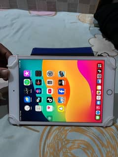 ipad mini5