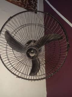 12 volt fan