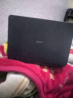 acer