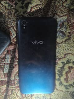 Vivo